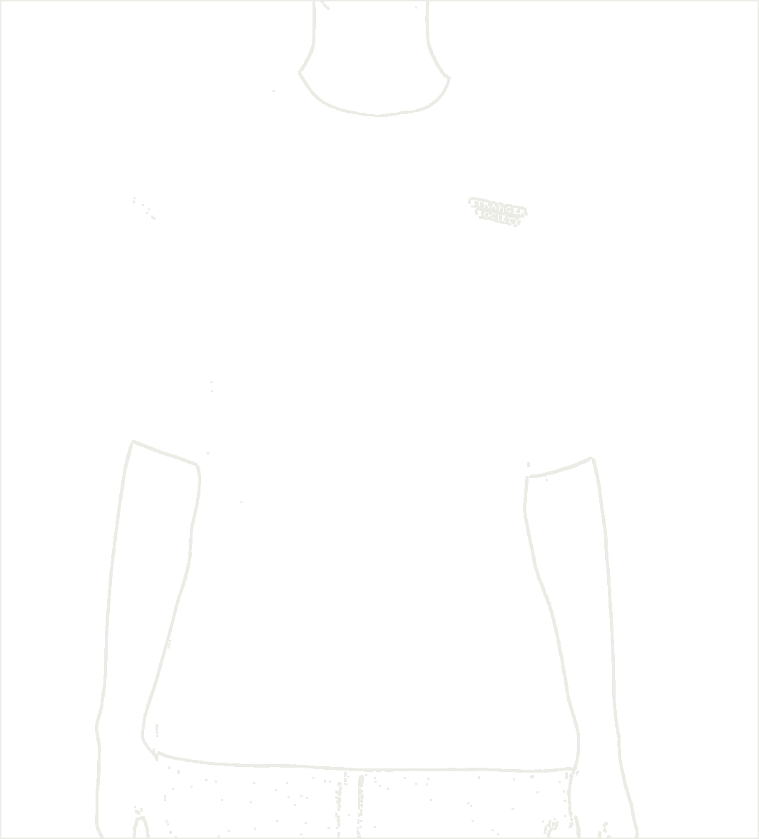 Bold Bouquet Tshirt as a line drawing