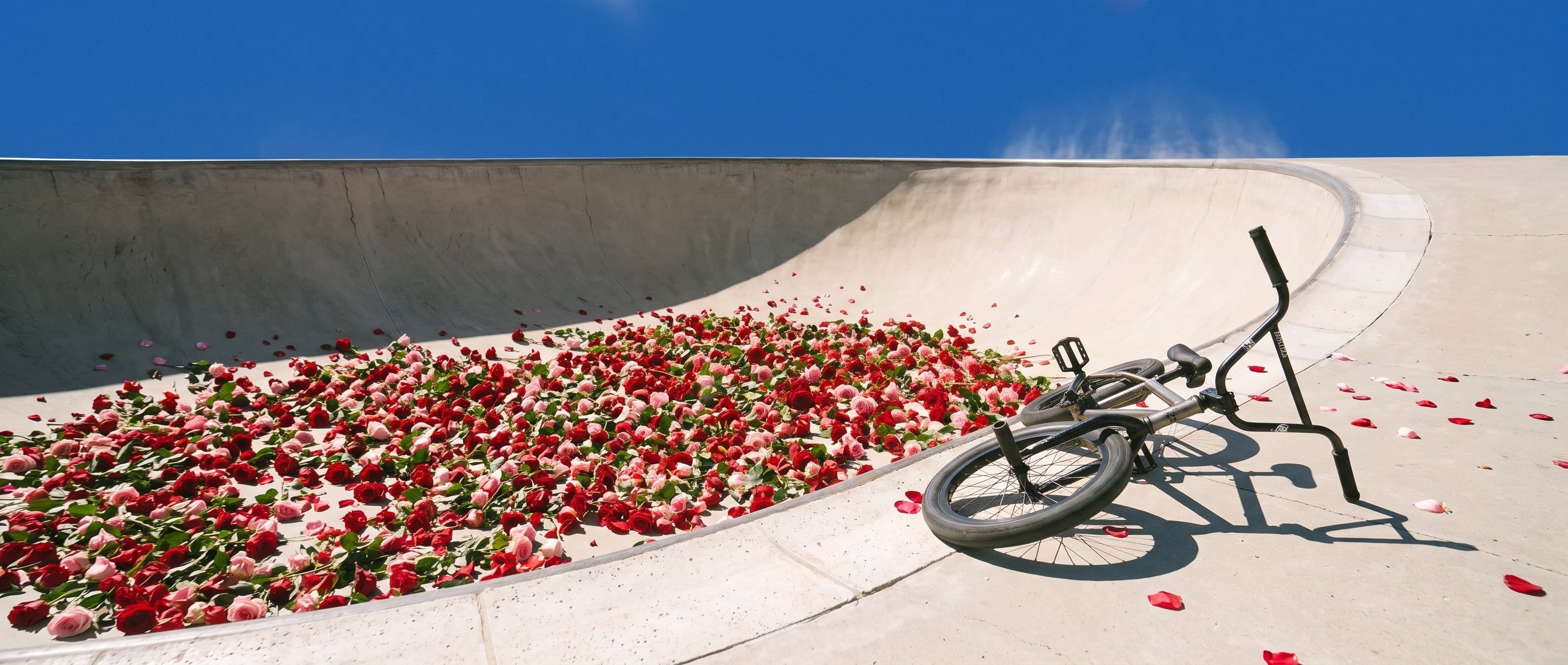 The rose-filled bowl, a BMX resting on the coping