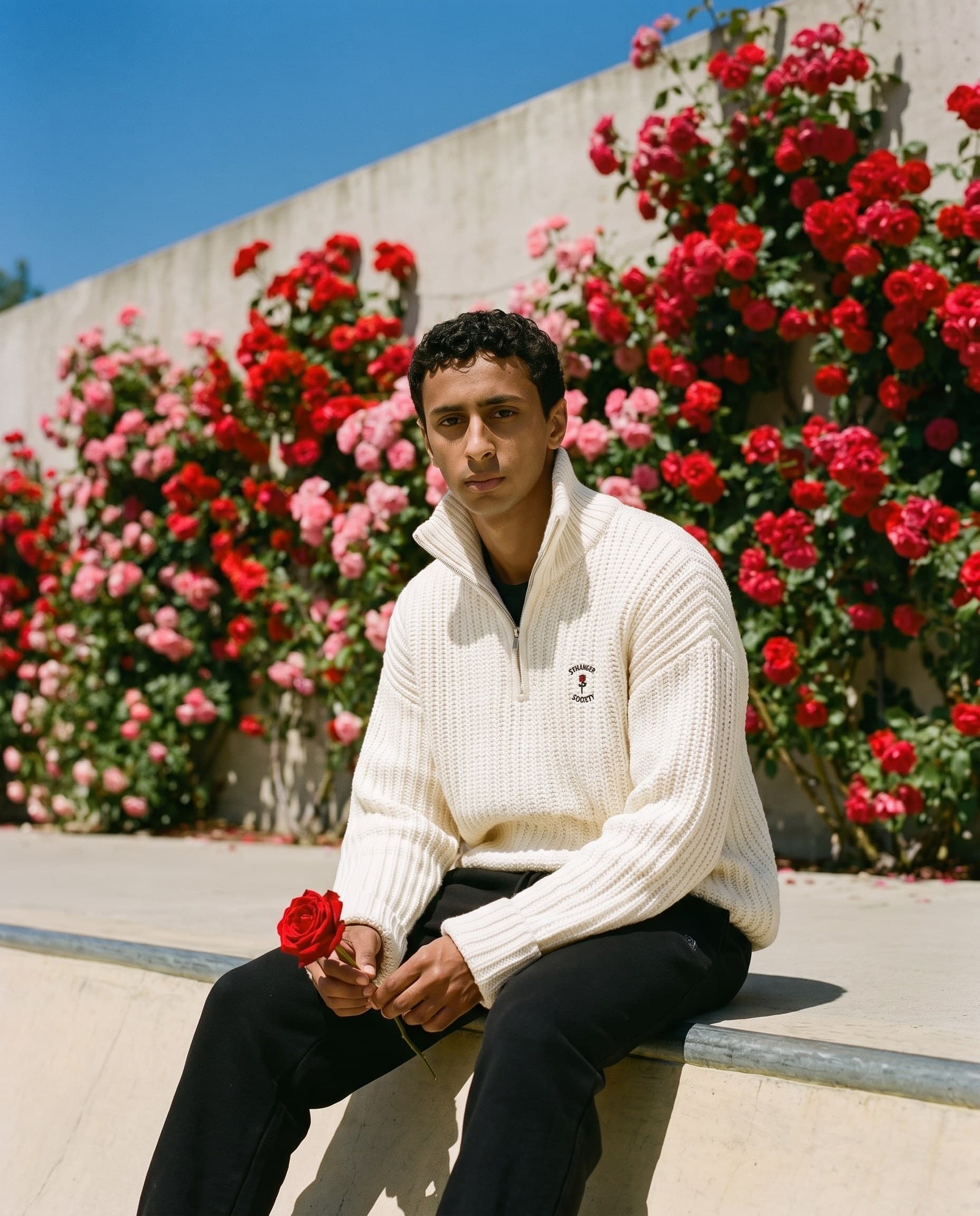Fisherman knit, one rose in hand
